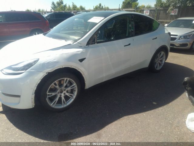 5YJYGDEE1MF067126 Tesla Model Y Long Range