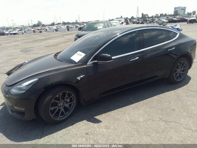 Tesla Model 3 Range 2019 5YJ3E1EA1KF361943 Image 2