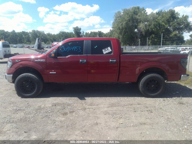 Ford F-150 Xlt 2014 1FTFW1ET5EFB64771 Image 15