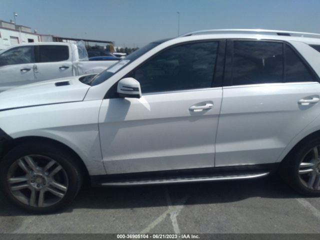 4JGDA5JB0FA598276 Mercedes-Benz M-class Ml 350