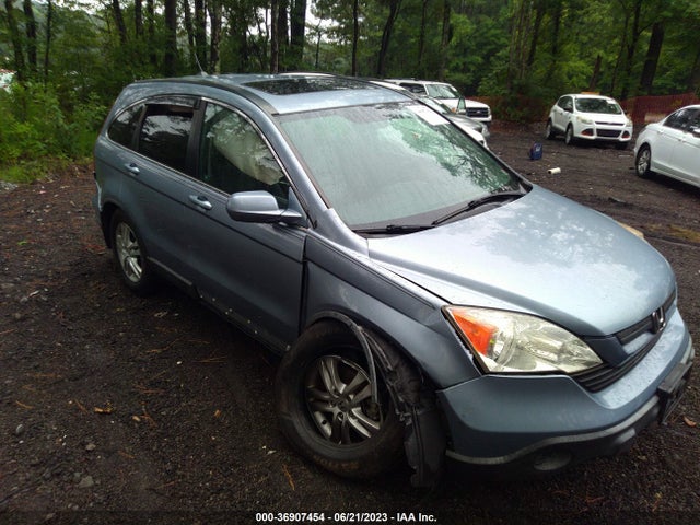 2010 HONDA CR-V EX-L VIN: 5J6RE4H7XAL017108