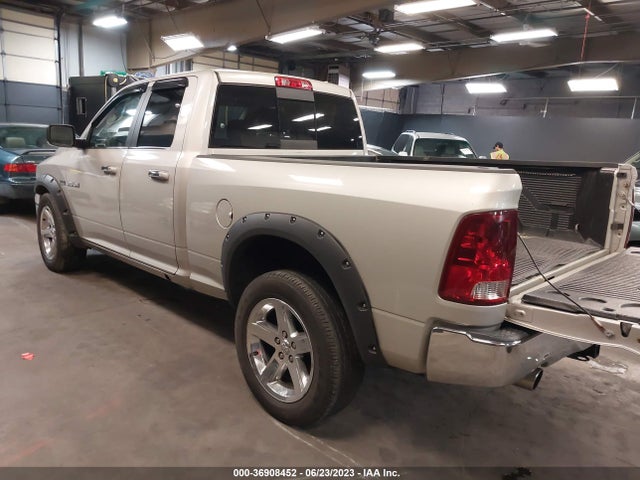 2010 DODGE RAM 1500 SLT VIN: 1D7RV1GT3AS202079