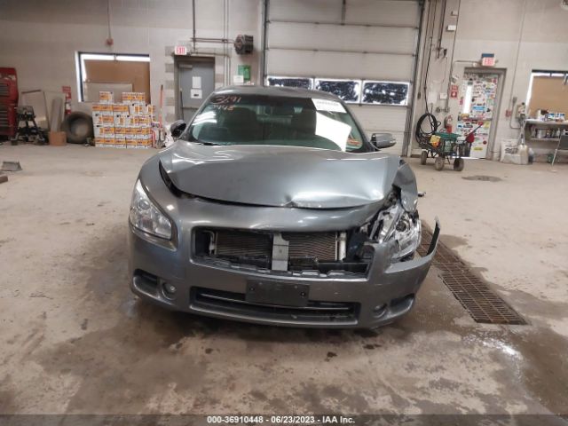 1N4AA5AP4EC497530 Nissan Maxima 3.5 Sv