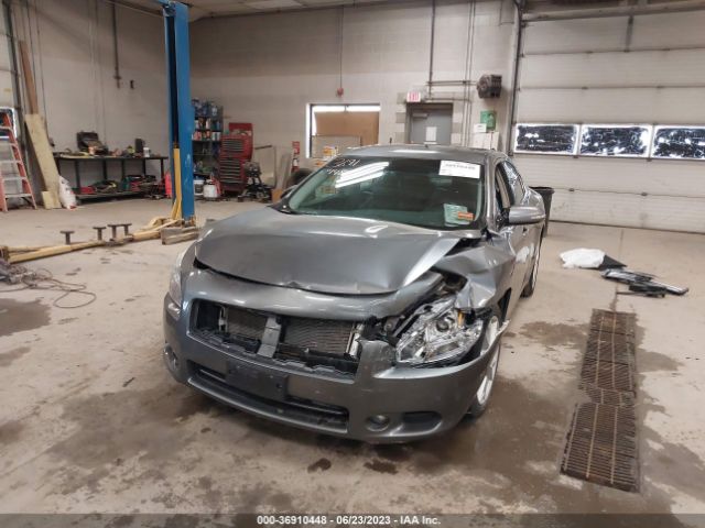 1N4AA5AP4EC497530 Nissan Maxima 3.5 Sv