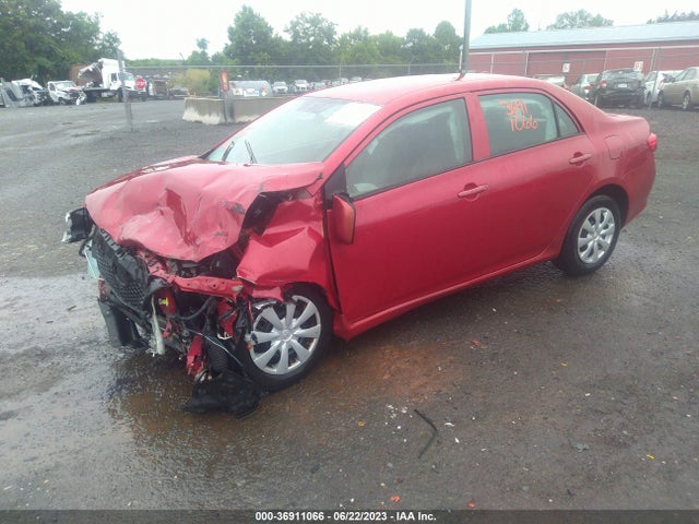 2010 TOYOTA COROLLA VIN: 2T1BU4EE1AC523429