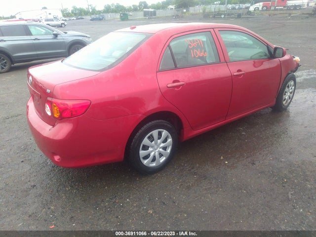 2010 TOYOTA COROLLA VIN: 2T1BU4EE1AC523429