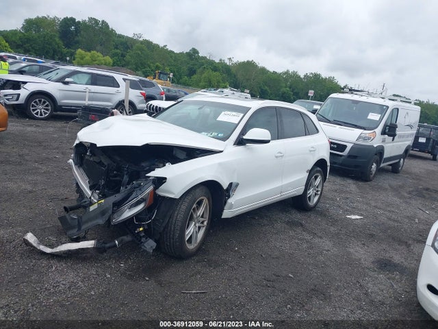 Audi Q5 Premium Plus 2017 WA1L2AFP0HA084662 Image 2