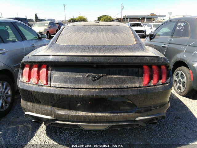 Ford Mustang Ecoboost 2019 1FA6P8TH0K5135190 Image 9
