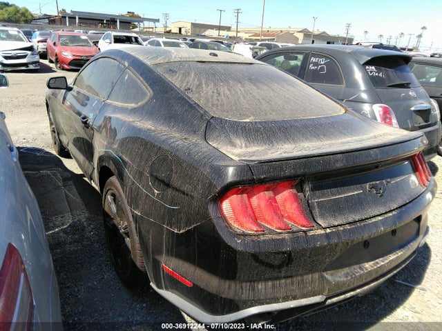 Ford Mustang Ecoboost 2019 1FA6P8TH0K5135190 Image 10