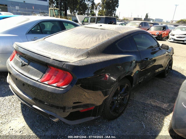 Ford Mustang Ecoboost 2019 1FA6P8TH0K5135190 Image 11