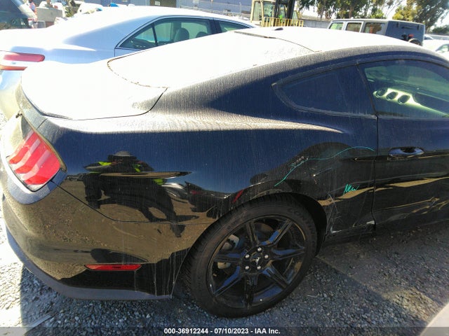 Ford Mustang Ecoboost 2019 1FA6P8TH0K5135190 Image 12