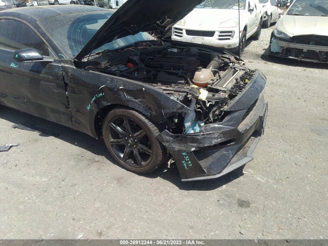 Ford Mustang Ecoboost 2019 1FA6P8TH0K5135190 Image 13