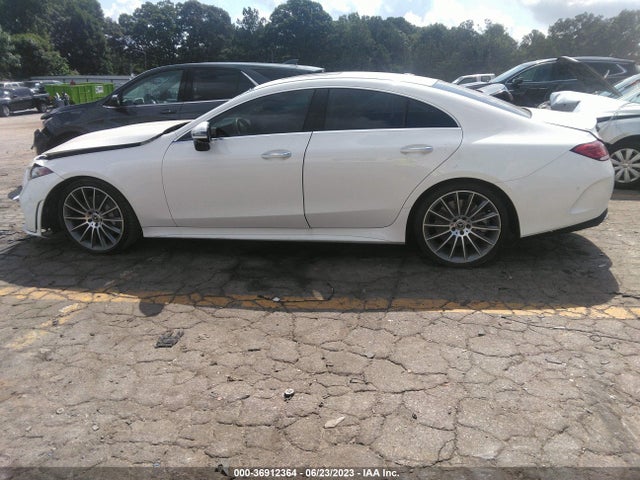 2020 Mercedes-Benz CLS-Class, VIN: W1K2J5JB8LA073818