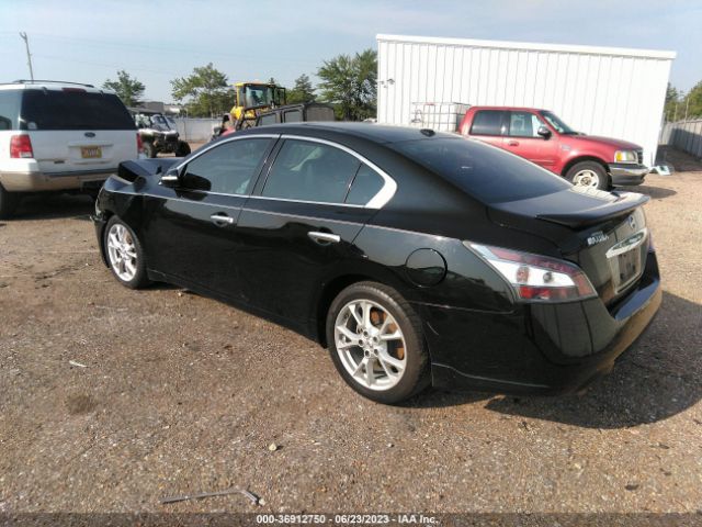1N4AA5AP4EC468271 Nissan Maxima 3.5 Sv W/premium Pkg