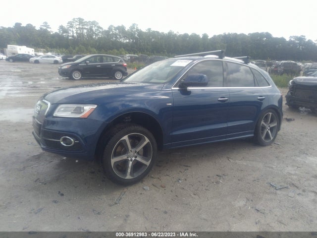 WA1D7AFP7GA024575 Audi Q5 Premium Plus