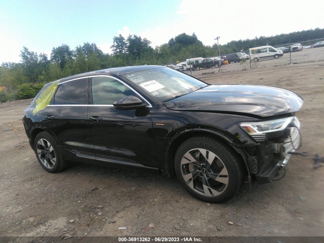 2022 Audi e-tron, VIN: WA1AAAGE0NB023678