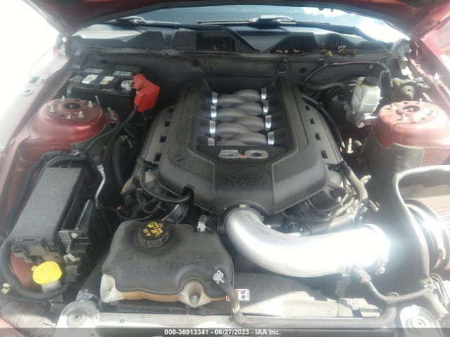 1ZVBP8CF9E5319553 Ford MUSTANG GT