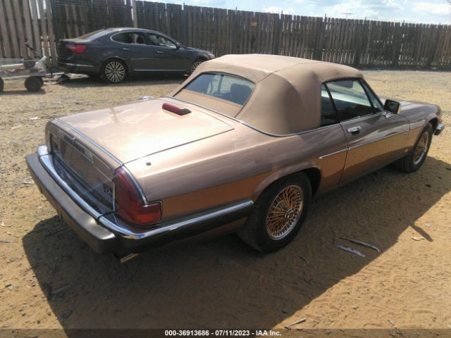 1988 JAGUAR XJS SAJNV584XJC143714 Photo 3