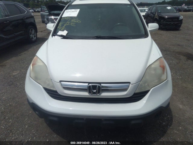 2009 HONDA CR-V EX-L VIN: 5J6RE48729L058733