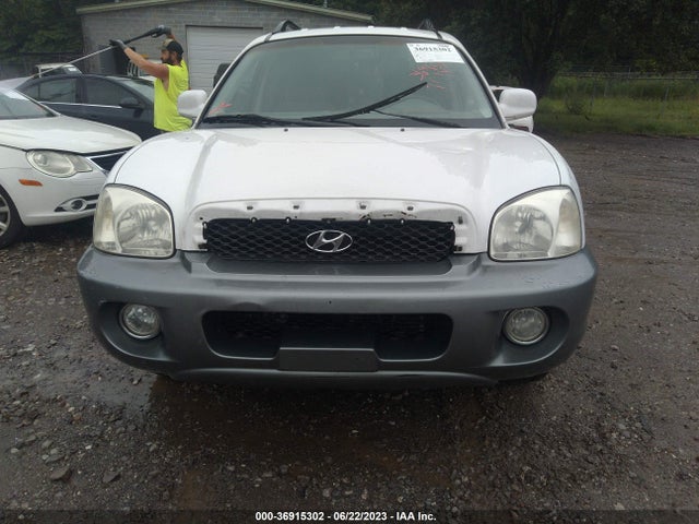 2004 HYUNDAI SANTA FE GLS/LX VIN: KM8SC13E14U612179