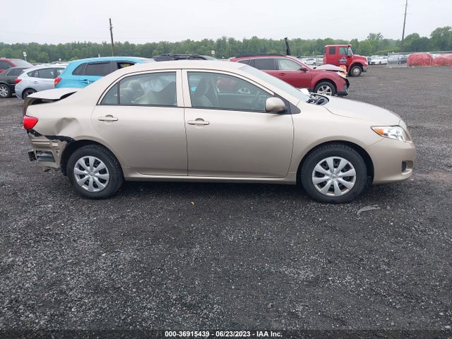 2010 TOYOTA COROLLA VIN: 2T1BU4EE8AC302507