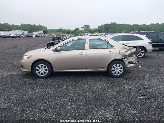 2010 TOYOTA COROLLA VIN: 2T1BU4EE8AC302507