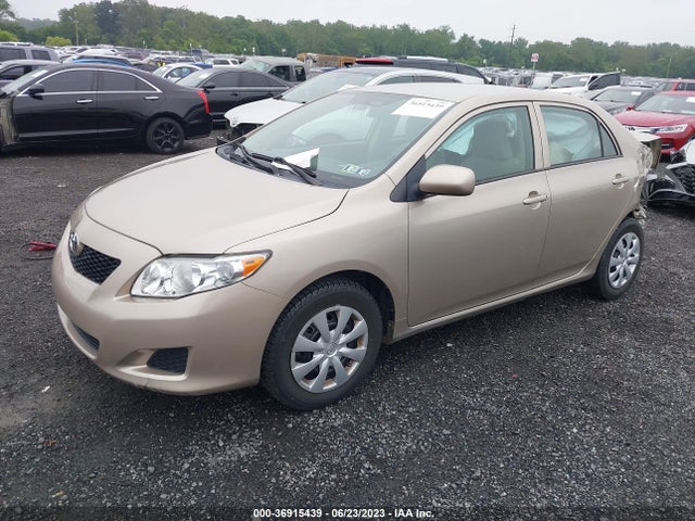 2010 TOYOTA COROLLA VIN: 2T1BU4EE8AC302507