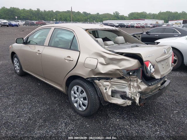 2010 TOYOTA COROLLA VIN: 2T1BU4EE8AC302507