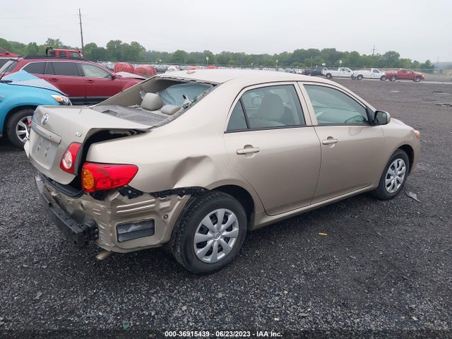2010 TOYOTA COROLLA VIN: 2T1BU4EE8AC302507