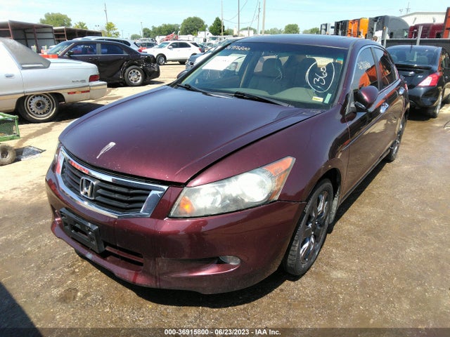 2010 HONDA ACCORD SDN EX-L VIN: 5KBCP3F83AB013238