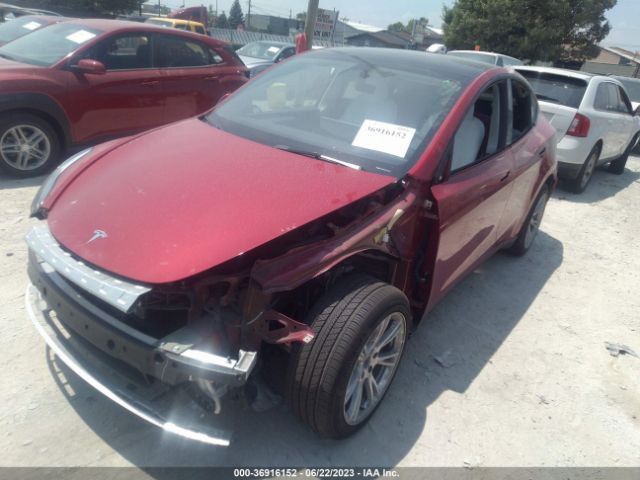 7SAYGDEE3PF743924 Tesla Model Y Long Range