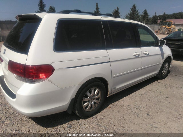 2009 HONDA ODYSSEY EX-L VIN: 5FNRL38769B019460