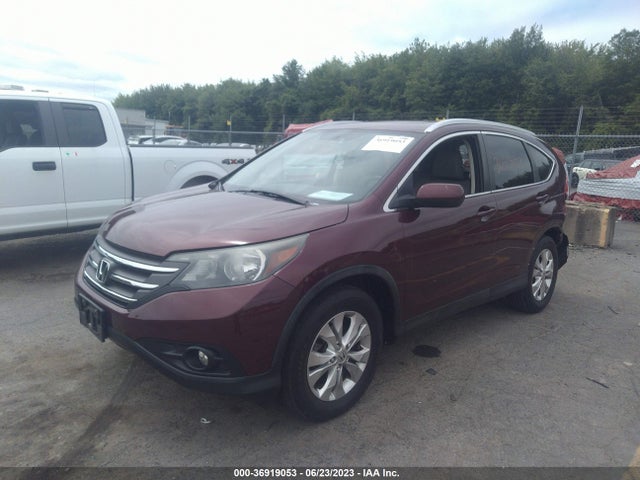 Honda Cr-v Ex-l 2014 5J6RM4H77EL116896 Image 2