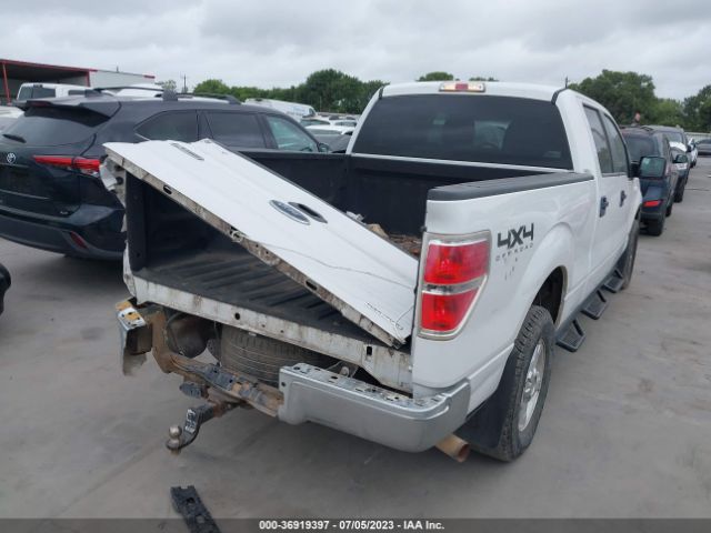 1FTFW1EF0EFA44709 Ford F-150 Xl/xlt/stx/fx4/lariat
