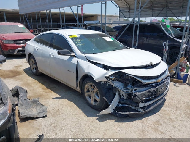 2019 1G1ZB5ST6KF124305 main image