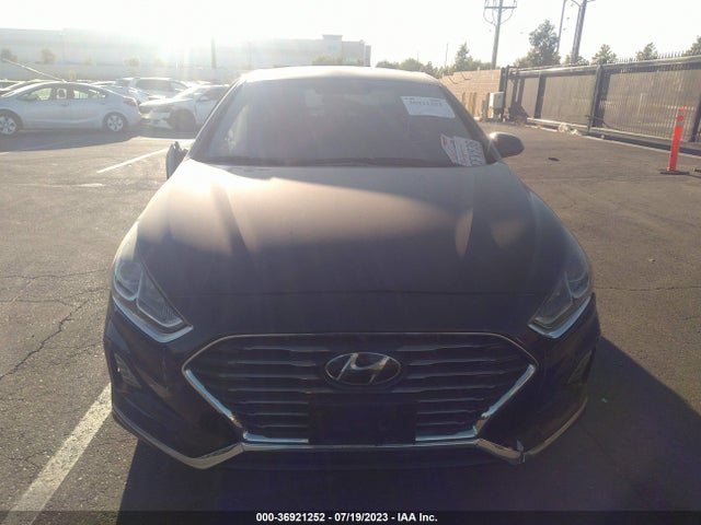 Hyundai SONATA SE 2019 5NPE24AF8KH805468 Image 12