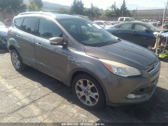 2014 1FMCU0JX9EUD37551 главное изображение