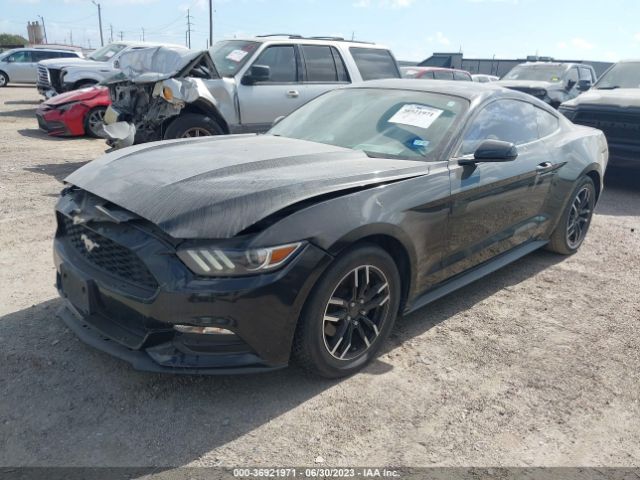 1FA6P8AM6H5340148 Ford Mustang V6