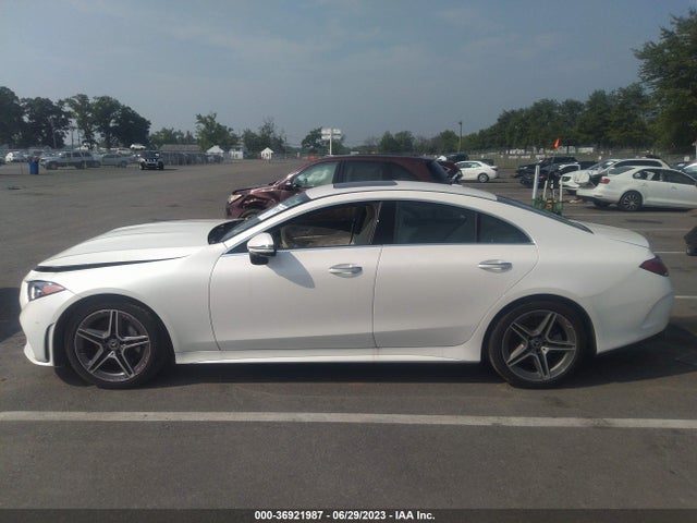 2020 Mercedes-Benz CLS-Class, VIN: W1K2J5KB2LA076129