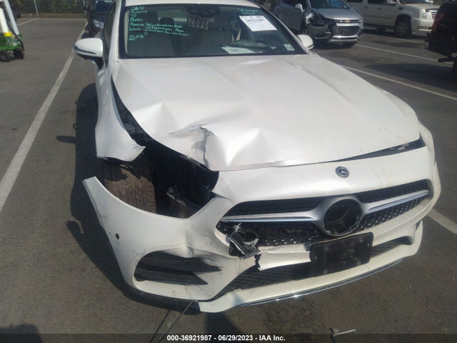2020 Mercedes-Benz CLS-Class, VIN: W1K2J5KB2LA076129