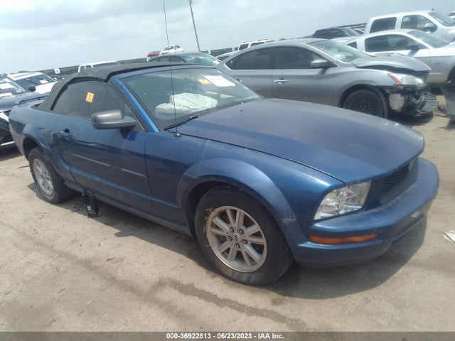 2006 FORD MUSTANG STANDARD/DELUXE/PREMIUM VIN: 1ZVFT84N765138598