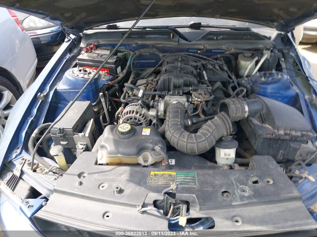 2006 FORD MUSTANG STANDARD/DELUXE/PREMIUM VIN: 1ZVFT84N765138598