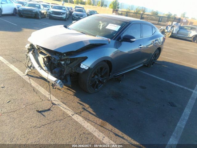 1N4AA6AP3HC414843 Nissan Maxima Platinum