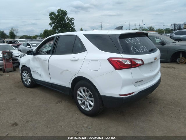 2019 CHEVROLET EQUINOX LS VIN: 2GNAXSEV0K6264854
