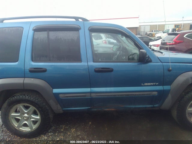 2004 JEEP LIBERTY SPORT VIN: 1J4GL48K64W144555