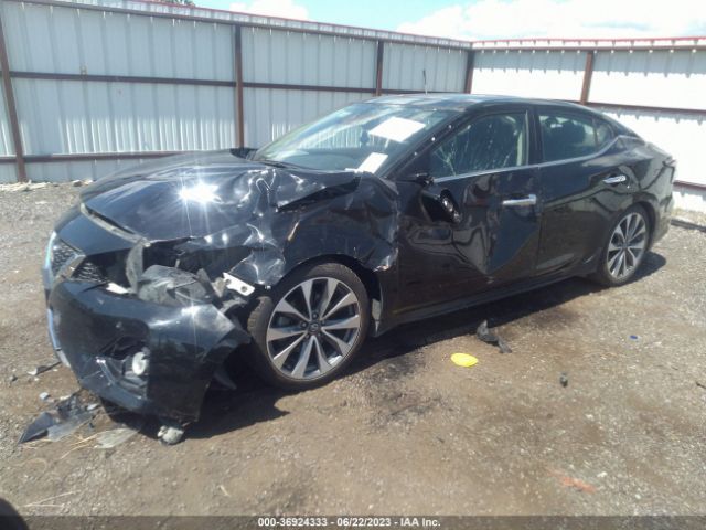 1N4AA6FV5LC374331 Nissan Maxima Platinum