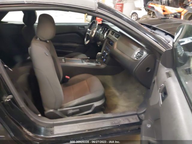 1ZVBP8EM7E5213243 Ford Mustang V6