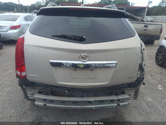2010 CADILLAC SRX LUXURY COLLECTION VIN: 3GYFNAEY1AS627584