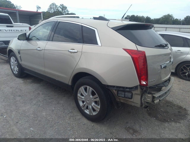 2010 CADILLAC SRX LUXURY COLLECTION VIN: 3GYFNAEY1AS627584