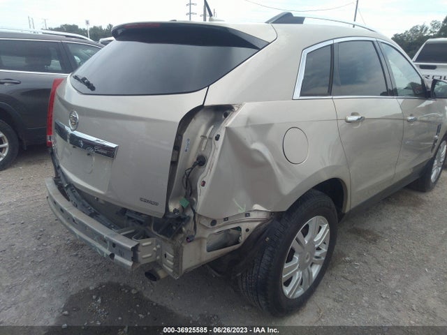 2010 CADILLAC SRX LUXURY COLLECTION VIN: 3GYFNAEY1AS627584
